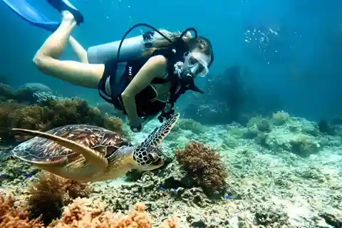 Visita las islas Cham y practica snorkel y submarinismo