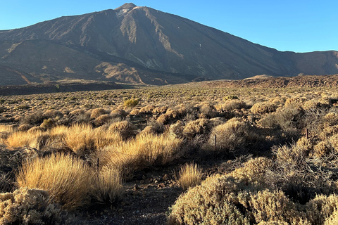 South Tenerife: Off-the-beaten-track buggy adventure South Tenerife: Full-Day Self-Drive Buggy Experience