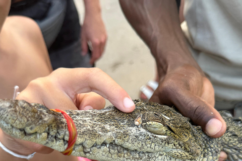 Jamaica: YS falls, Black River Safari day tour from Negril