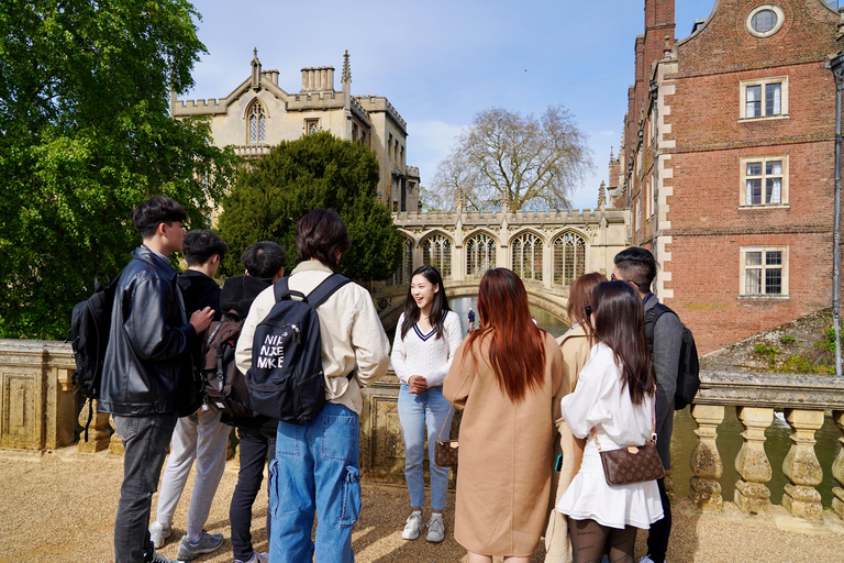 Cambridge Student-Led Walking & Punting Experience Chinese Cambridge Student-Led Private Walk & Punt Experience