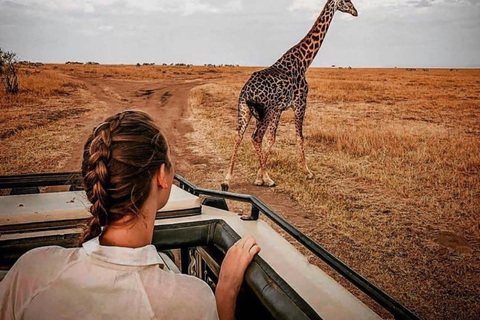 FOUR DAYS BUDGET CAMPING SAFARI