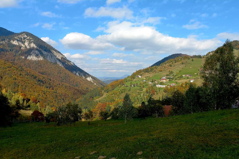 Brașov: Visit a Transylvanian Village Home near Bran Castle From Brașov to a Traditional Village Home in the Bran Area