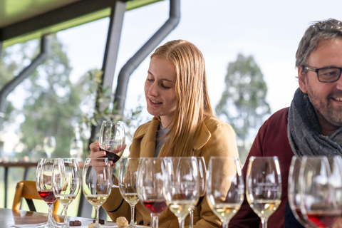 Desde Sidney: Excursión de degustación de vinos y quesos del Valle Hunter