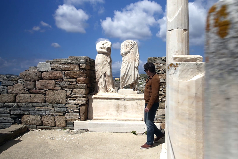 Isola di Delos: Tour privato guidato con una guida locale certificataTour privato guidato di 3 ore in lingua francese