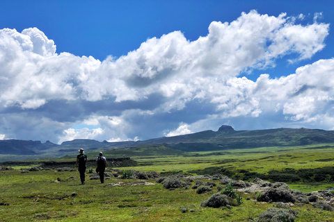 Addis Ababa: 6-Day Bale Mountains Trekking Adventure