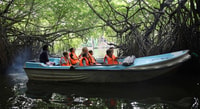Hambantota, Galle & Bentota Coastal Day Tour - Housity