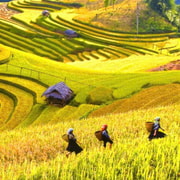 From Hanoi: Mai Chau Valley Cycling & Culture Day Trip From Hanoi: Mai Chau Valley Cycling & Culture Day Trip