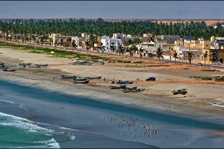 Salalah: Private East Salalah Tour — Half or Full Day Full day 4x4 (4)