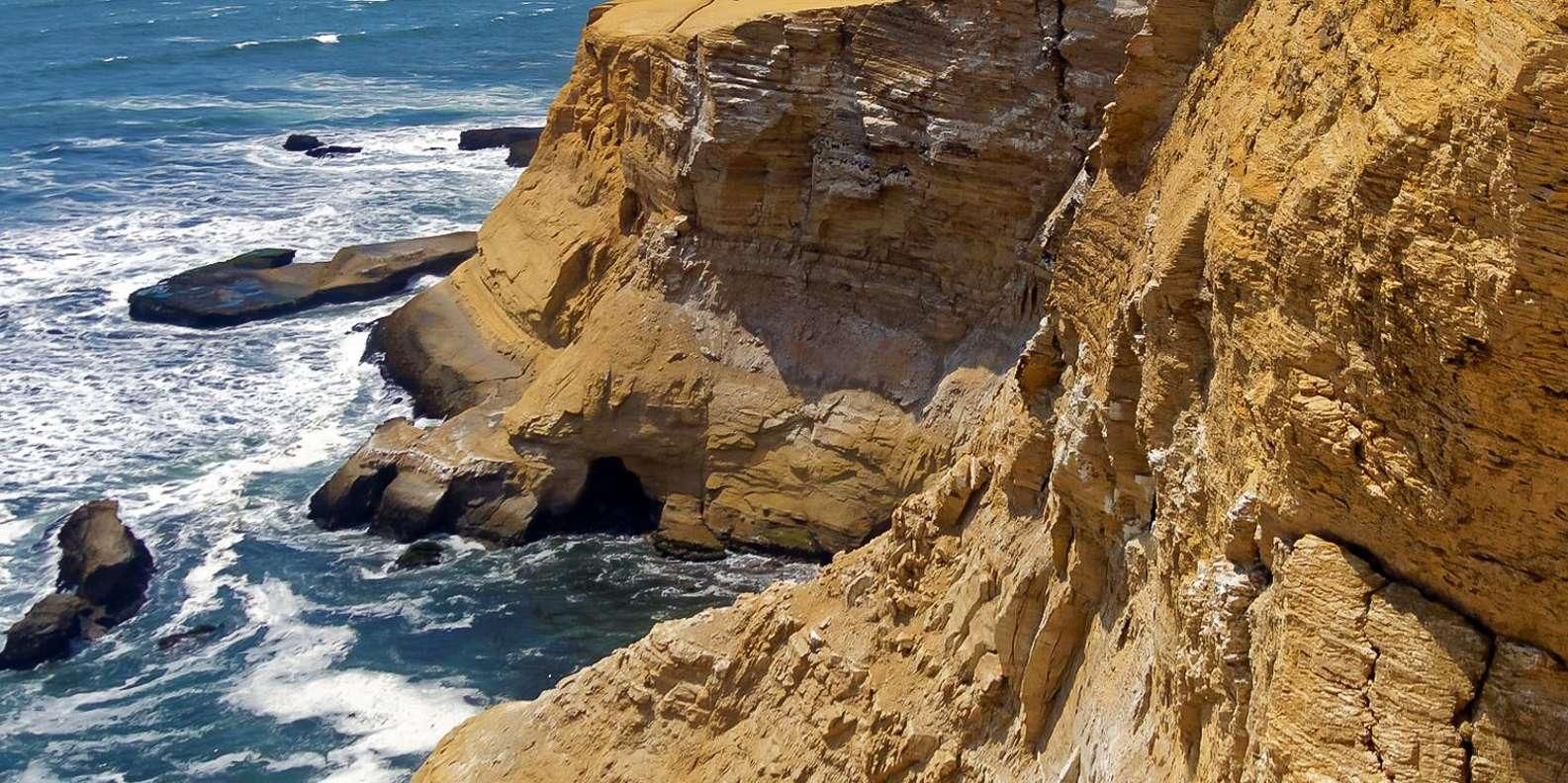 Von Ica: Ballestas-Inseln + Paracas-Nationalreservat