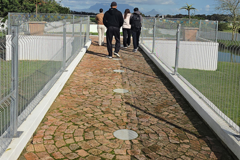 Cape Town: Ostrich Ranch Safari with Hotel Transfer