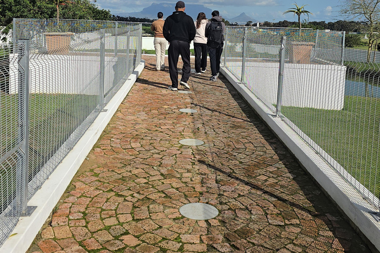 Cape Town: Ostrich Ranch Safari with Hotel Transfer