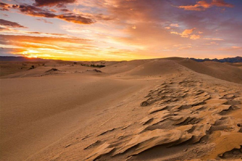 Desde Mascate: 2 días, 1 noche en Wahiba Sands
