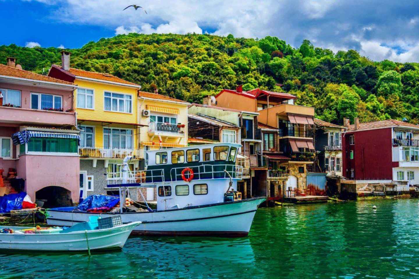 Istanbul: Asian Side Tour with Camlica Mosque & Village - Istanbul: Asian Side Tour with Camlica Mosque & Village