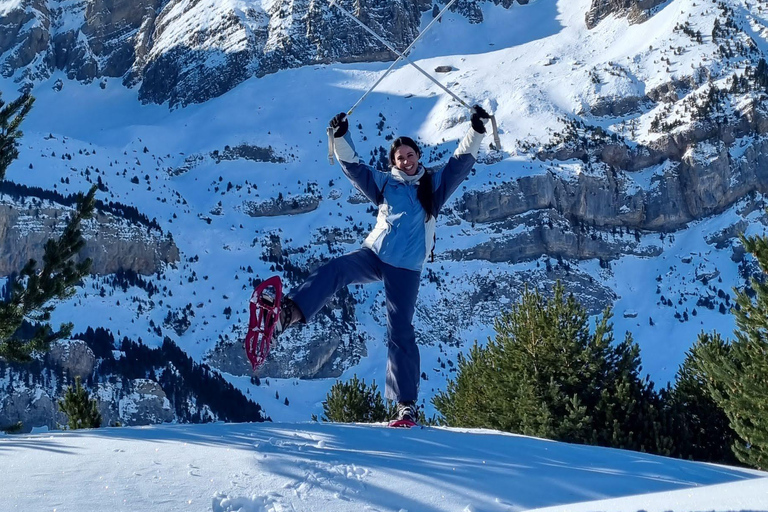 Madrid: Snowshoe tour