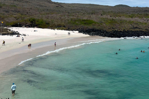 Discover San Cristobal: Turtles, Lagoon, and Snorkeling on the Beach Discover San Cristobal: Turtles, Lagoon and Beach Snorkeling