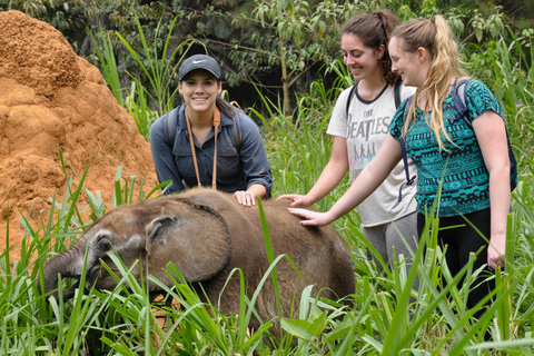 UGANDA SANCTUARY SOJURN: Beleef de reis van de natuurbescherming