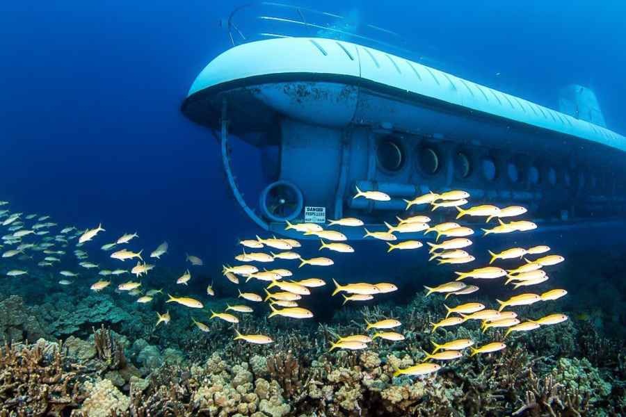 Von Kona aus: Big Island Unterwasser-U-Boot-Abenteuer. Foto: GetYourGuide
