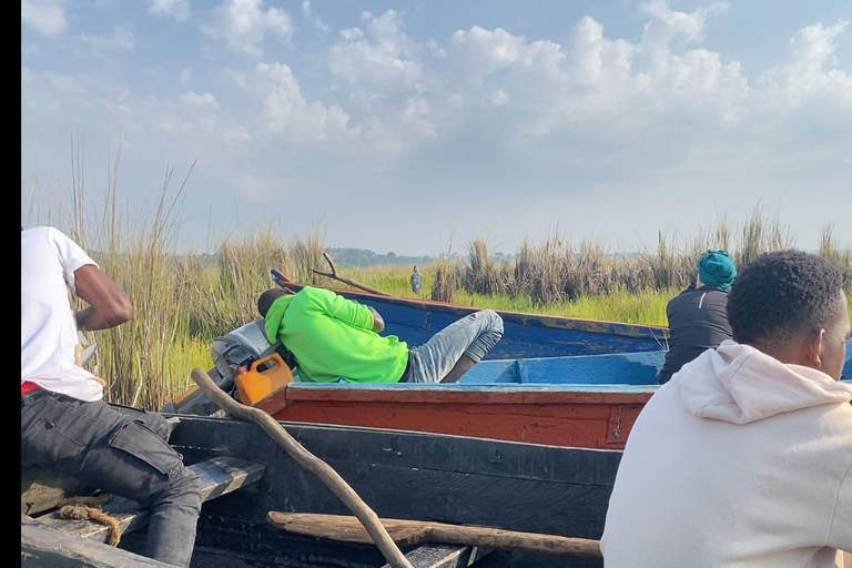 Mabamba swamp bird tours and shoebill trekking