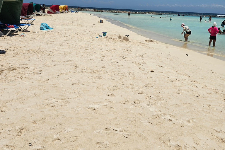 Aruba: Tour in autobus dell&#039;isolaTour in autobus Island Tours, un viaggio di 4 ore all&#039;insegna di attività meravigliose