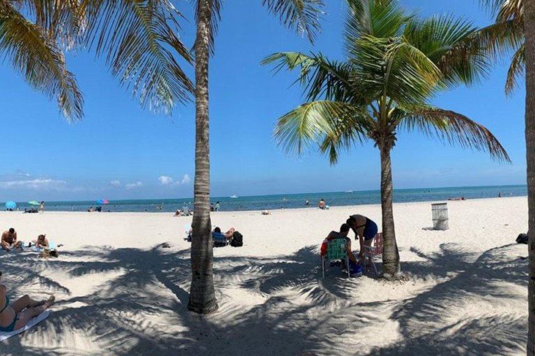 Miami: Poznaj magiczne miasto w dobrym stylu - 2-godzinna wycieczka VIP