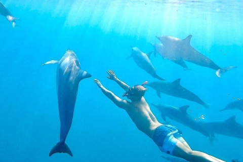Mnemba: dolfijnen, snorkelavontuur en barbecue met zeevruchtenMnemba eiland: Snorkelen & Zeevruchten BBQ