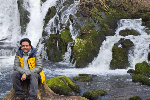 Bergen in Tesla: dall&#039;età del ferro alla vita modernaTour di 3 ore