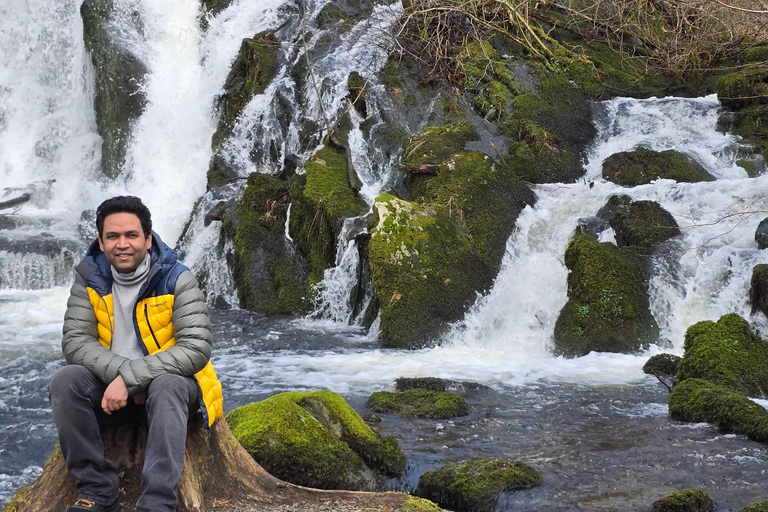 Bergen in Tesla: dall&#039;età del ferro alla vita modernaTour di 3 ore