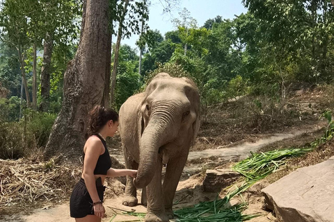 Chiang Mai: 2-Day Jungle Trek with Elephant Farm & Raft Ride Hotel Pickup and Drop-off (within Pickup Area)