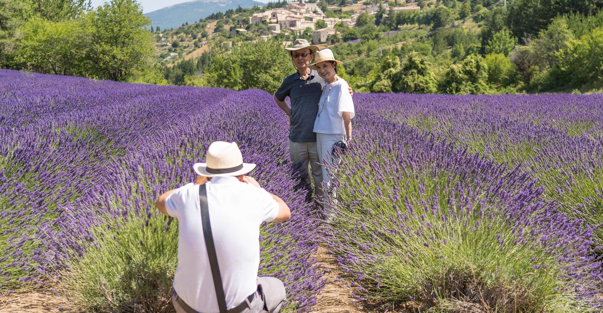 From Avignon, Lavender Villages Day Trip - Housity