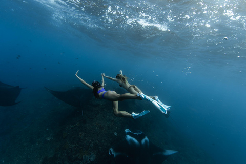 From Bali: Private Boat Snorkeling Manta & Land Nusa Penida Private Speedboat Tour with Meeting Point