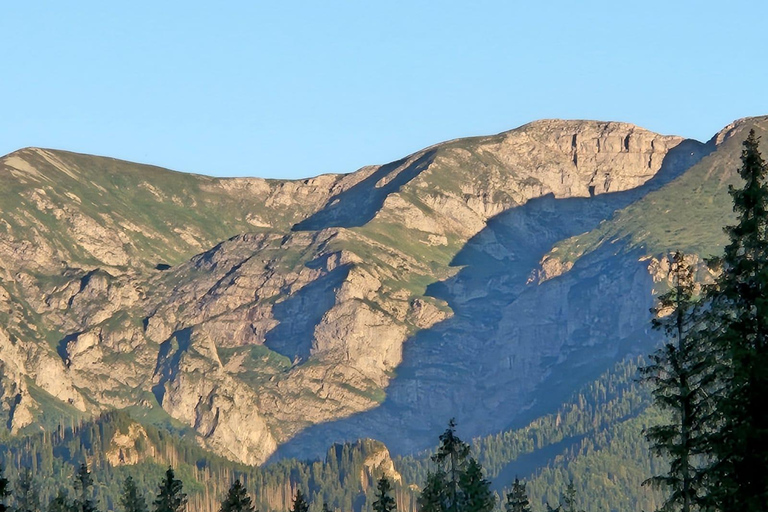 Zakopane: Snowmobile, Quad, or Buggy Tatra Mountains Tour