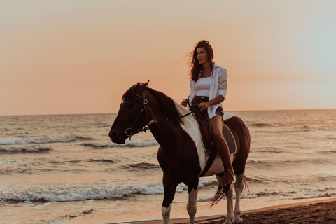 Horse Riding With Optional Sunrise & Red Sea Desert Hurghada {VIP} Horse Riding 4 Hours – With Swim Stop Only