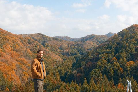 Seoul: Jangtaesan, Starfield Library, & Suwon Day Trip