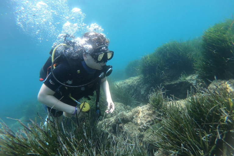 Hammamet: Guided Shore Dive for Beginners with Gear