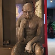 From Yogyakarta: Sangiran Museum and Early Man Site Tour