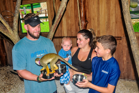 Punta Cana: Monkey Sanctuary, Farm & Cenote Swim Combo
