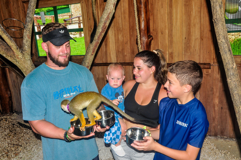 Punta Cana: Monkey Sanctuary, Farm & Cenote Swim Combo