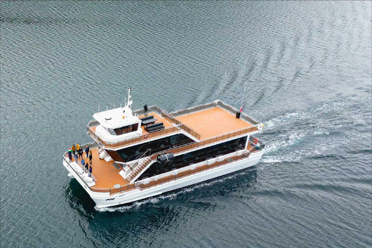 Tromsø: Summer Arctic Light Cruise with a Guide Tromsø: Midnight Sun or Sunset Cruise with a Guide