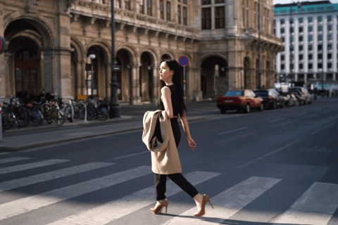 Vienna: Riprese video con un videografo professionista