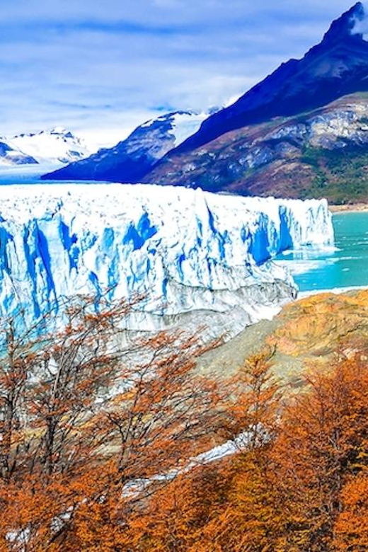 Galería de fotos para redes