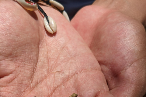 قم بزيارة جبل العنبر: أنتسيرانانا مدغشقر