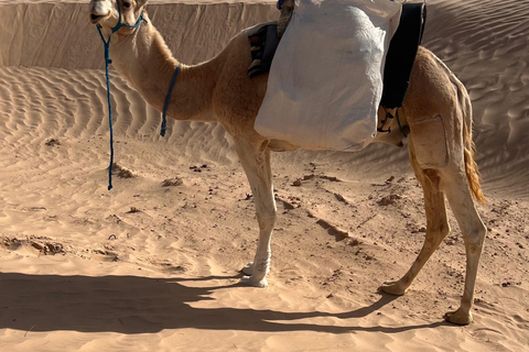 Eintauchen in die Sahara: 2-Nächte-Camp und Biwak-Abenteuer