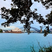 Sydney City Harbour and Coastal Adventure