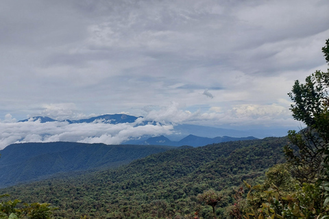 Volcan Barva Heredia Podróże i spacery