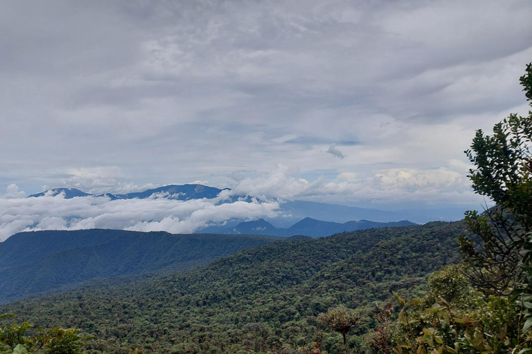 Volcan Barva Heredia Voyage et promenade