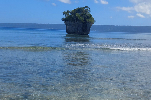 Deportes acuáticos Port Vila: Aventura de snorkel en el Triple ArrecifePort Vila: Aventura de snorkel en el Triple Arrecife