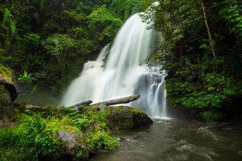 Randonnée dans le parc national de Doi Inthanon et randonnée sur le sentier de Pha Dok SiewVisite du parc national de Doi Inthanon et randonnée sur le sentier Pha Dok Siew