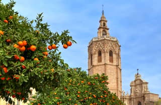 Geführte Tour durch die Altstadt von Valencia