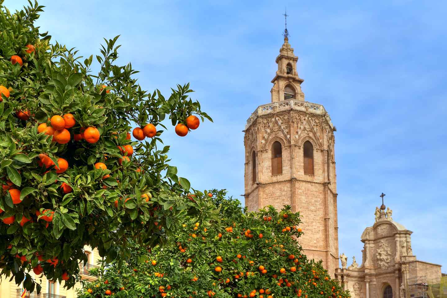 Guided Tour of Valencia's Historic Center - Guided Tour of Valencia's Historic Center