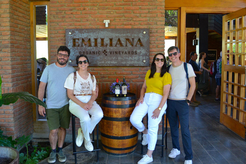 Santiago: Valparaíso Cruise Port Transfer & Vineyard Tour